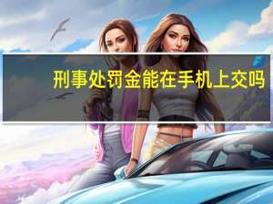 刑事处罚金能在手机上交吗