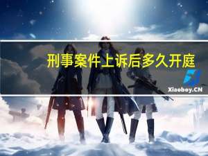 刑事案件上诉后多久开庭