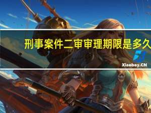 刑事案件二审审理期限是多久