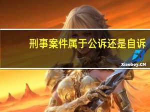 刑事案件属于公诉还是自诉