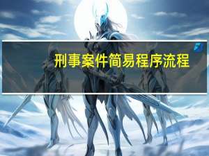 刑事案件简易程序流程