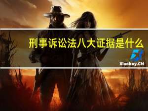 刑事诉讼法八大证据是什么