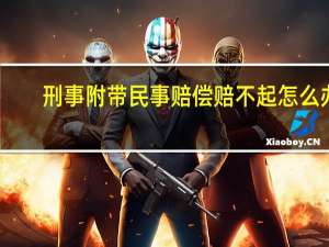 刑事附带民事赔偿赔不起怎么办