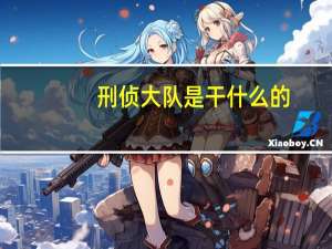 刑侦大队是干什么的