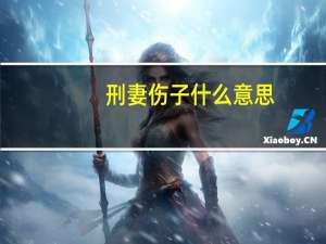 刑妻伤子什么意思