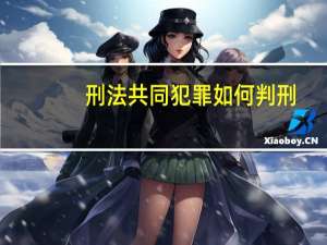 刑法共同犯罪如何判刑