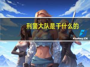 刑警大队是干什么的