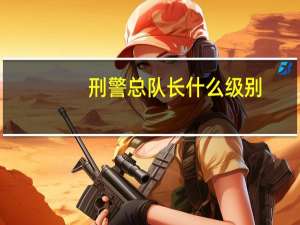 刑警总队长什么级别