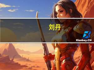 刘丹（关于刘丹的介绍）