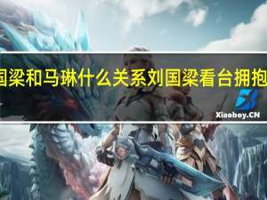 刘国梁和马琳什么关系 刘国梁看台拥抱安慰马琳