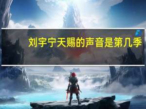 刘宇宁天赐的声音是第几季