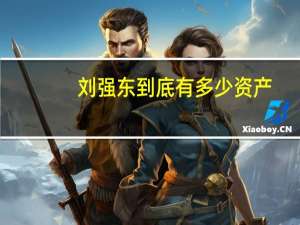 刘强东到底有多少资产