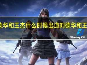 刘德华和王杰什么时候出道 刘德华和王杰的电影