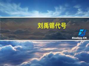 刘禹锡代号