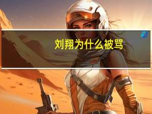 刘翔为什么被骂
