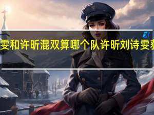 刘诗雯和许昕混双算哪个队 许昕刘诗雯获混双银牌