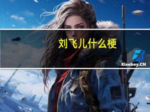 刘飞儿什么梗