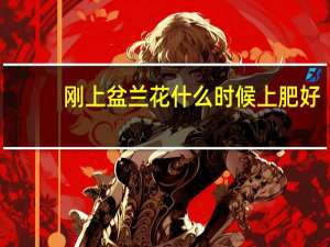 刚上盆兰花什么时候上肥好