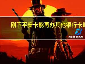 刚下平安卡能再办其他银行卡吗