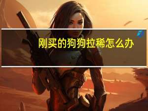 刚买的狗狗拉稀怎么办