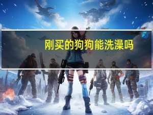 刚买的狗狗能洗澡吗