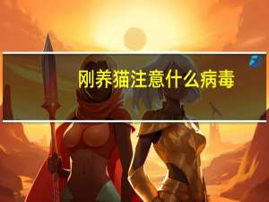 刚养猫注意什么病毒