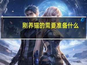 刚养猫的需要准备什么