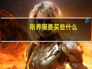 刚养猫要买些什么