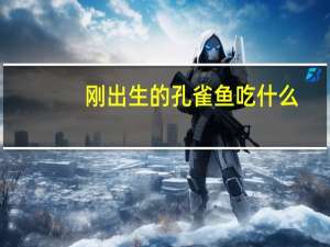 刚出生的孔雀鱼吃什么