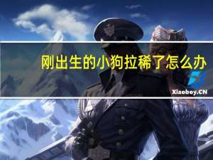 刚出生的小狗拉稀了怎么办