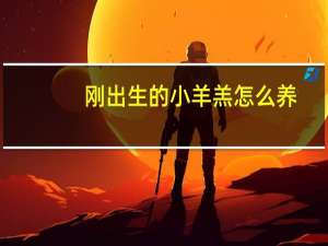 刚出生的小羊羔怎么养
