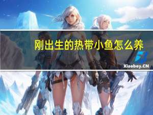 刚出生的热带小鱼怎么养