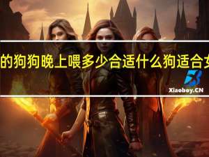 刚出生的狗狗晚上喂多少合适 什么狗适合女人养晚上用