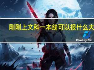 刚刚上文科一本线可以报什么大学