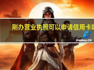 刚办营业执照可以申请信用卡吗