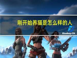 刚开始养猫是怎么样的人