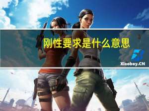 刚性要求是什么意思