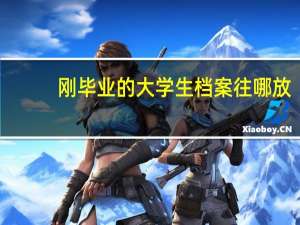 刚毕业的大学生档案往哪放