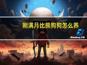 刚满月比熊狗狗怎么养