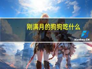 刚满月的狗狗吃什么