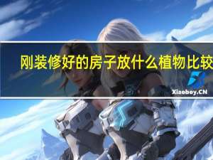 刚装修好的房子放什么植物比较好（刚装修好的房子放什么植物）