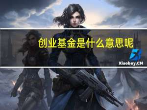 创业基金是什么意思呢