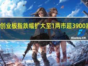 创业板指跌幅扩大至1% 两市超3900家下跌