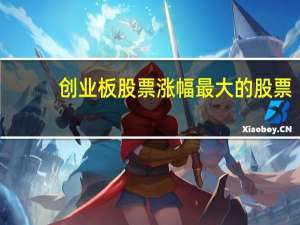 创业板股票涨幅最大的股票