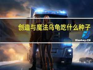 创造与魔法乌龟吃什么种子（创造与魔法乌龟吃什么）