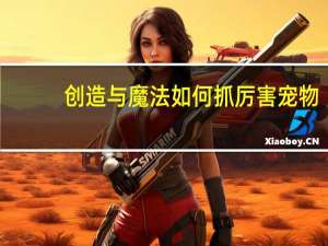 创造与魔法如何抓厉害宠物