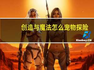 创造与魔法怎么宠物探险