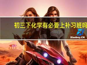 初三下化学有必要上补习班吗