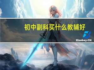 初中副科买什么教辅好