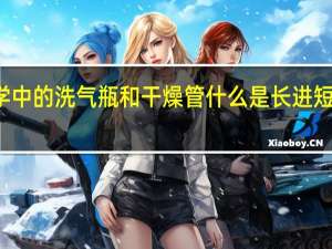 初中化学中的洗气瓶和干燥管什么是长进短出和大进小出